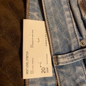 American Eagle Next Level Stretch Shorts, NWT, Size 20